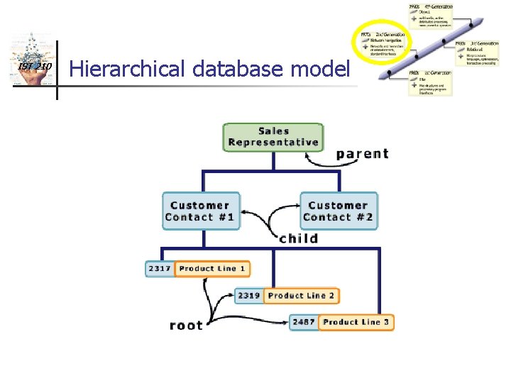 IST 210 Hierarchical database model 