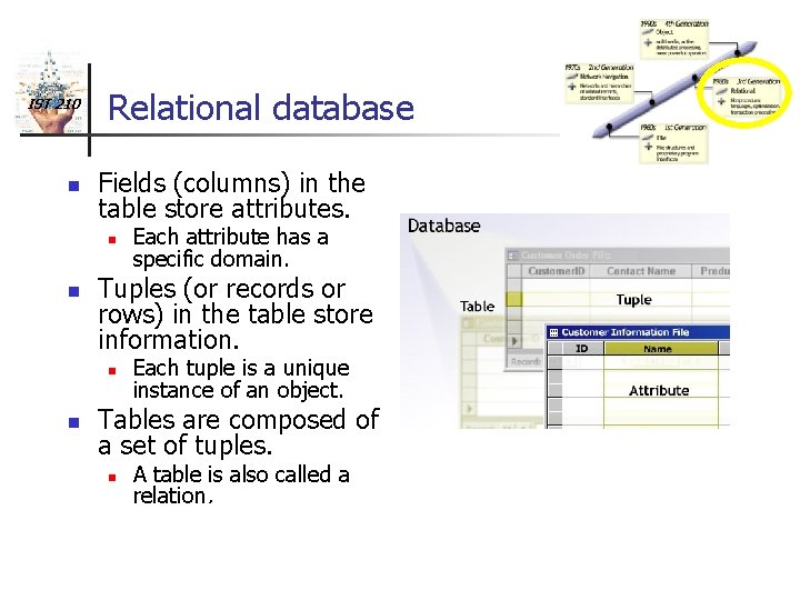 IST 210 n Relational database Fields (columns) in the table store attributes. n n