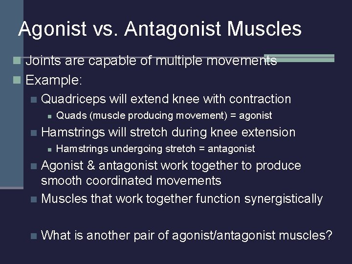 Agonist vs. Antagonist Muscles n Joints are capable of multiple movements n Example: n