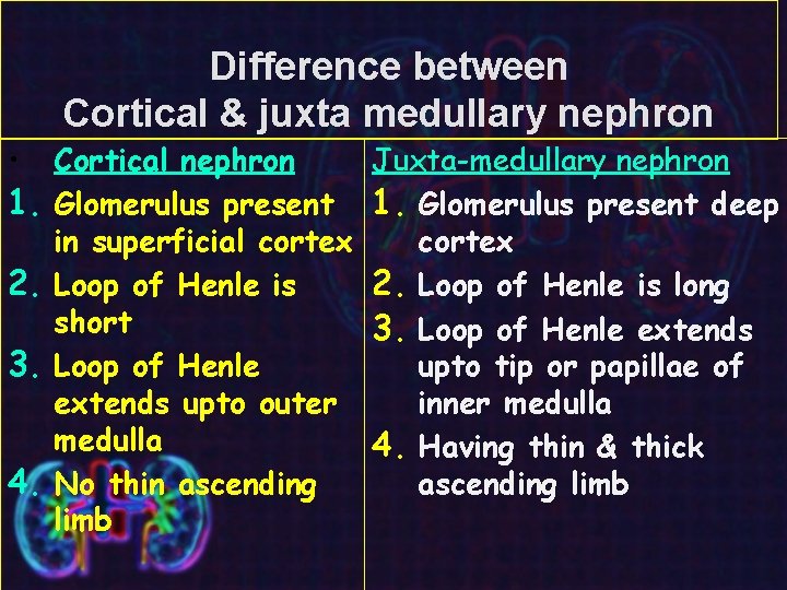 Difference between Cortical & juxta medullary nephron • 1. 2. 3. 4. Cortical nephron