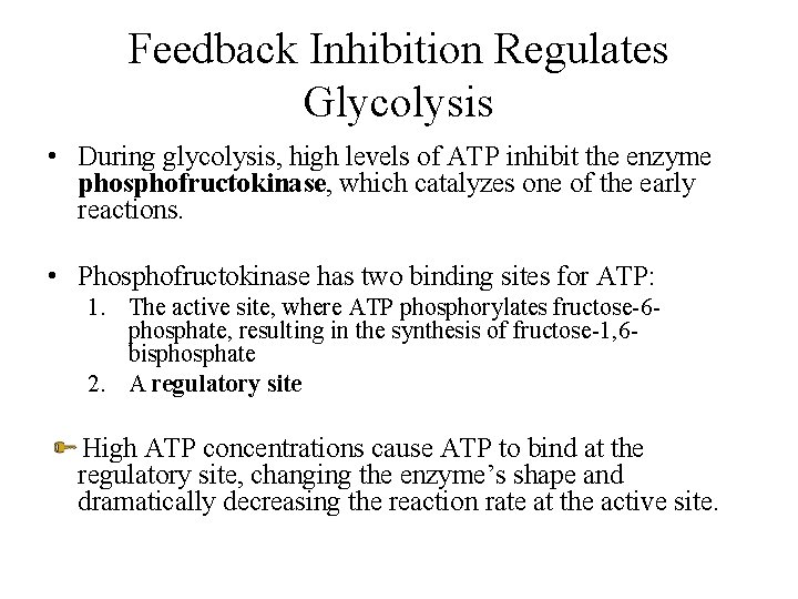 Feedback Inhibition Regulates Glycolysis • During glycolysis, high levels of ATP inhibit the enzyme