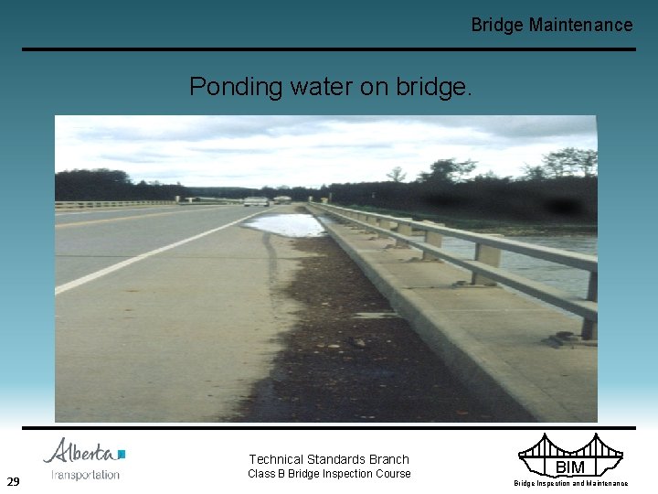 Bridge Maintenance Ponding water on bridge. Technical Standards Branch 29 Class B Bridge Inspection