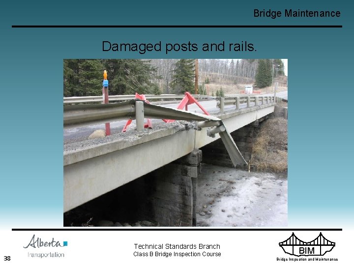 Bridge Maintenance Damaged posts and rails. Technical Standards Branch 38 Class B Bridge Inspection