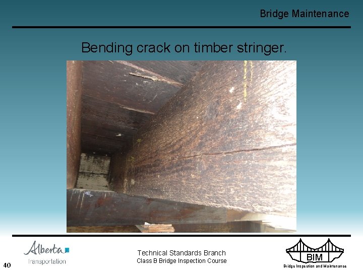 Bridge Maintenance Bending crack on timber stringer. Technical Standards Branch 40 Class B Bridge