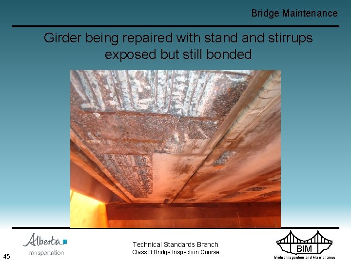 Bridge Maintenance Girder being repaired with stand stirrups exposed but still bonded Technical Standards