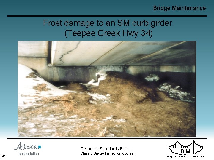 Bridge Maintenance Frost damage to an SM curb girder. (Teepee Creek Hwy 34) Technical