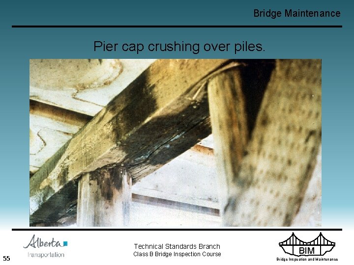 Bridge Maintenance Pier cap crushing over piles. Technical Standards Branch 55 Class B Bridge