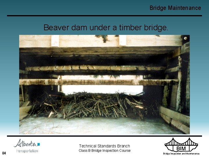 Bridge Maintenance Beaver dam under a timber bridge. Technical Standards Branch 84 Class B