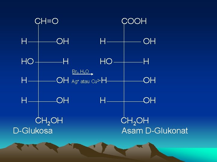 CH=O H HO COOH OH HO H H OH Br 2 H 2 O