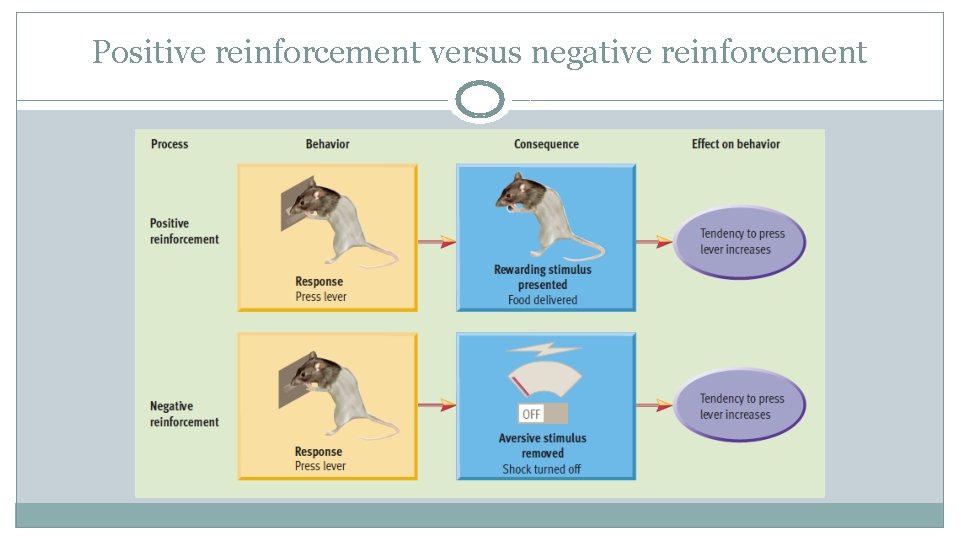 Positive reinforcement versus negative reinforcement 