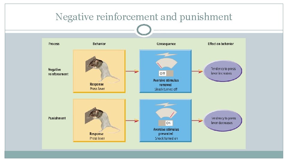 Negative reinforcement and punishment 