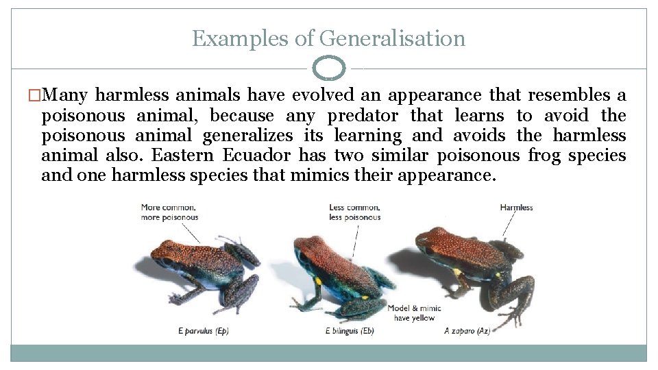 Examples of Generalisation �Many harmless animals have evolved an appearance that resembles a poisonous