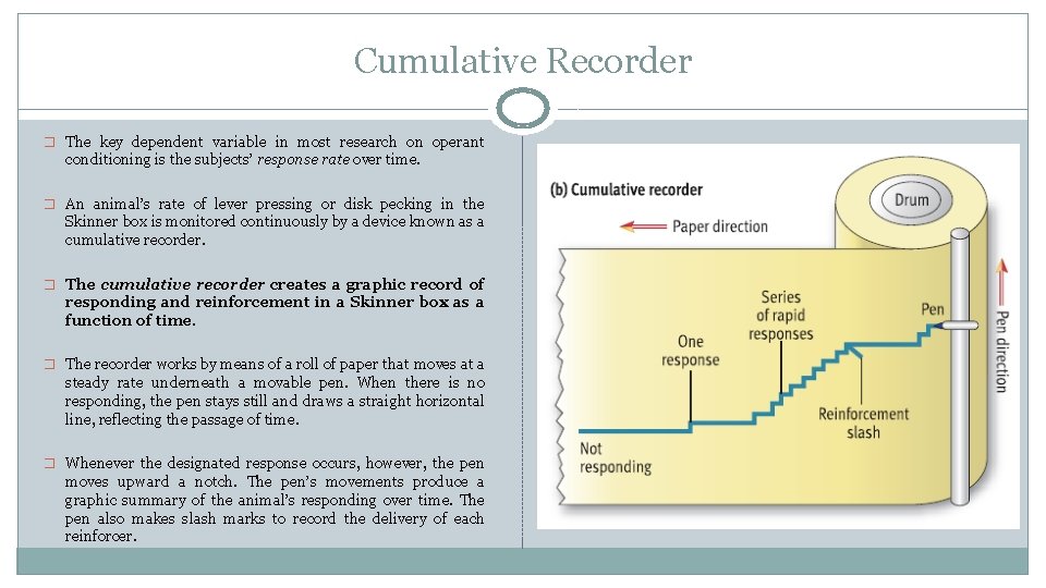 Cumulative Recorder � The key dependent variable in most research on operant conditioning is