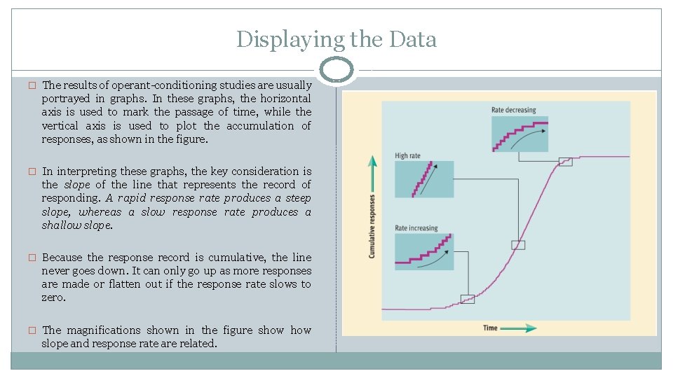 Displaying the Data � The results of operant-conditioning studies are usually portrayed in graphs.