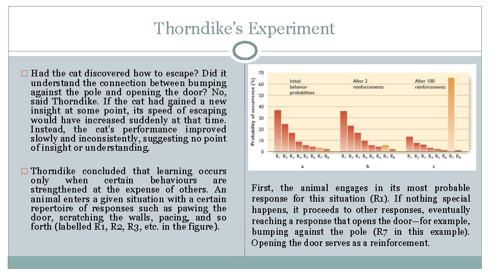 Thorndike’s Experiment � Had the cat discovered how to escape? Did it understand the