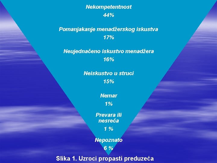 Nekompetentnost 44% Pomanjakanje menadžerskog iskustva 17% Neujednačeno iskustvo menadžera 16% Neiskustvo u struci 15%