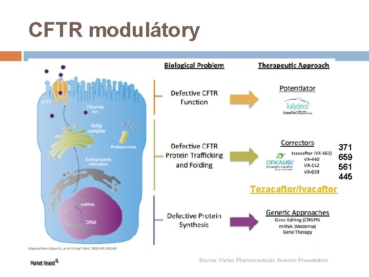 CFTR modulátory 371 659 561 445 Tezacaftor/Ivacaftor 