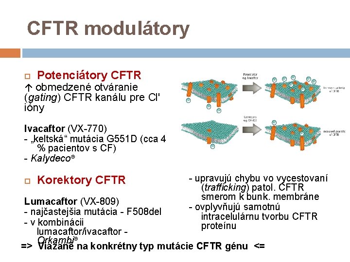 CFTR modulátory Potenciátory CFTR ↑ obmedzené otváranie (gating) CFTR kanálu pre Cl' ióny Ivacaftor