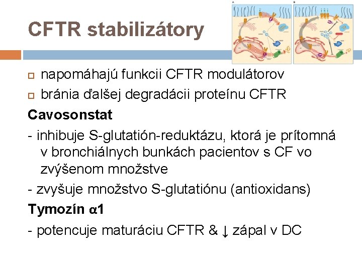 CFTR stabilizátory napomáhajú funkcii CFTR modulátorov bránia ďalšej degradácii proteínu CFTR Cavosonstat - inhibuje