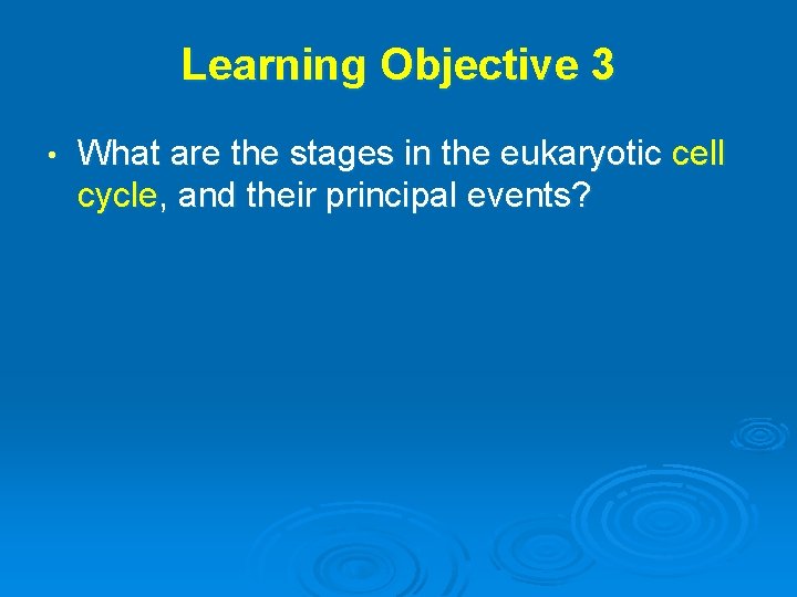 Learning Objective 3 • What are the stages in the eukaryotic cell cycle, and