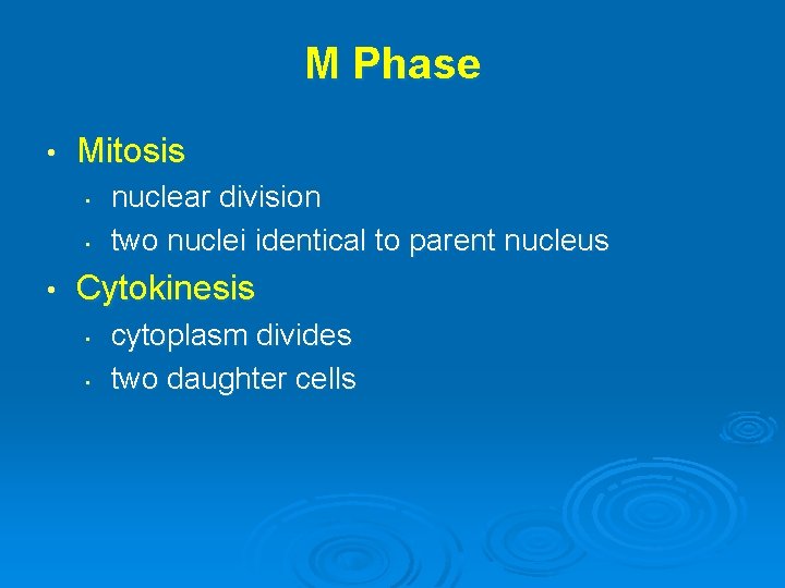 M Phase • Mitosis • • • nuclear division two nuclei identical to parent