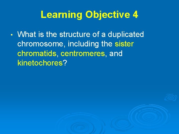 Learning Objective 4 • What is the structure of a duplicated chromosome, including the