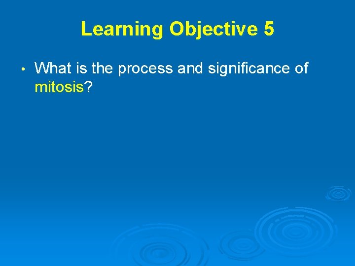 Learning Objective 5 • What is the process and significance of mitosis? 