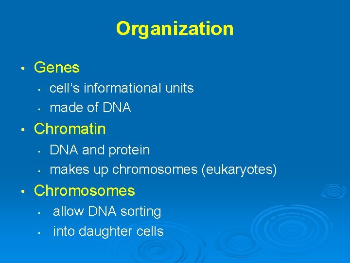 Organization • Genes • • • Chromatin • • • cell’s informational units made