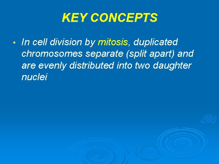 KEY CONCEPTS • In cell division by mitosis, duplicated chromosomes separate (split apart) and