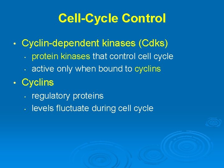 Cell-Cycle Control • Cyclin-dependent kinases (Cdks) • • • protein kinases that control cell