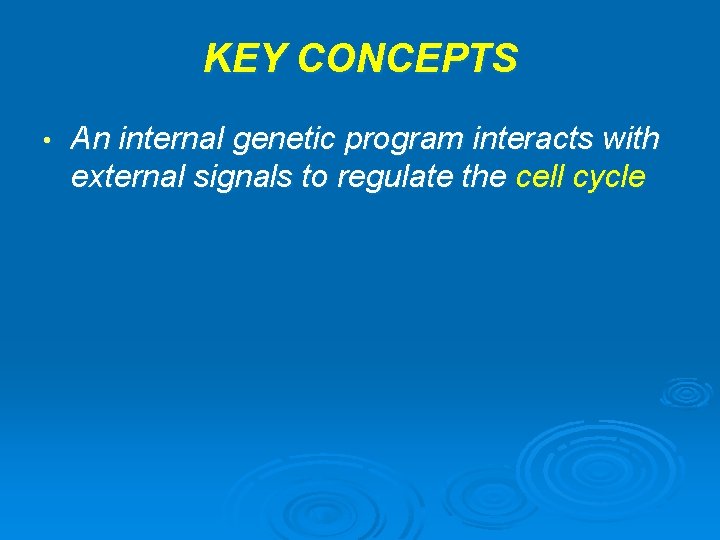 KEY CONCEPTS • An internal genetic program interacts with external signals to regulate the