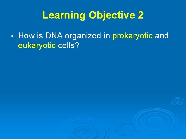 Learning Objective 2 • How is DNA organized in prokaryotic and eukaryotic cells? 