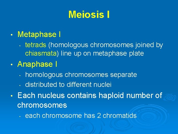 Meiosis I • Metaphase I • • Anaphase I • • • tetrads (homologous