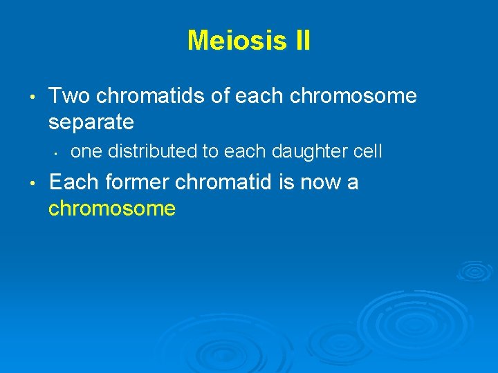 Meiosis II • Two chromatids of each chromosome separate • • one distributed to