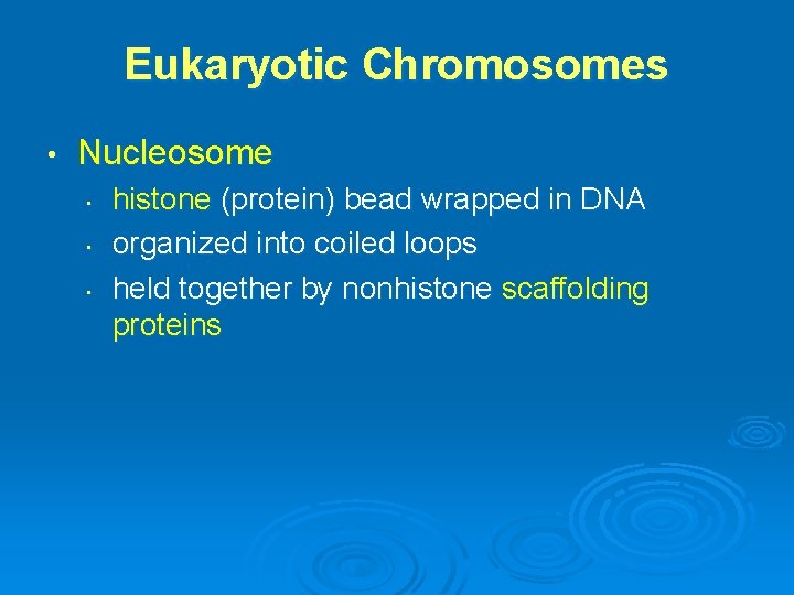 Eukaryotic Chromosomes • Nucleosome • • • histone (protein) bead wrapped in DNA organized