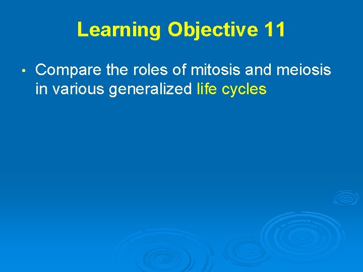 Learning Objective 11 • Compare the roles of mitosis and meiosis in various generalized