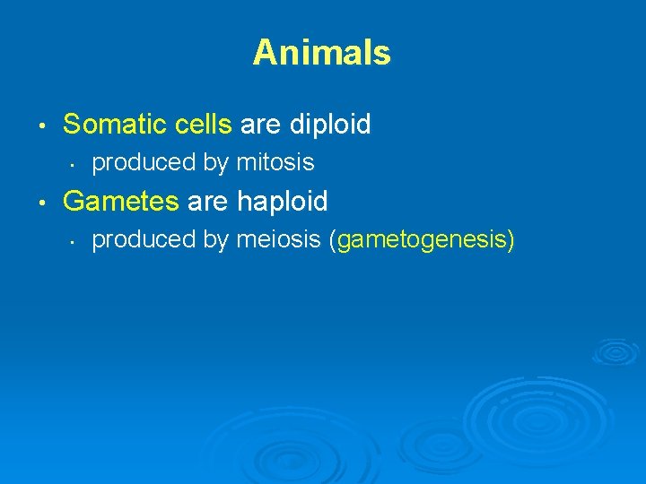 Animals • Somatic cells are diploid • • produced by mitosis Gametes are haploid