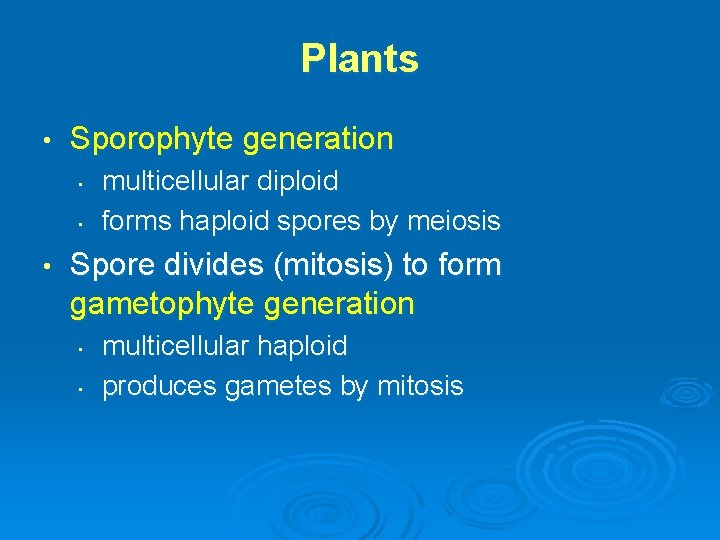 Plants • Sporophyte generation • • • multicellular diploid forms haploid spores by meiosis