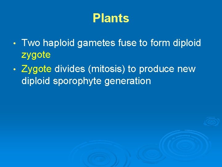 Plants Two haploid gametes fuse to form diploid zygote • Zygote divides (mitosis) to