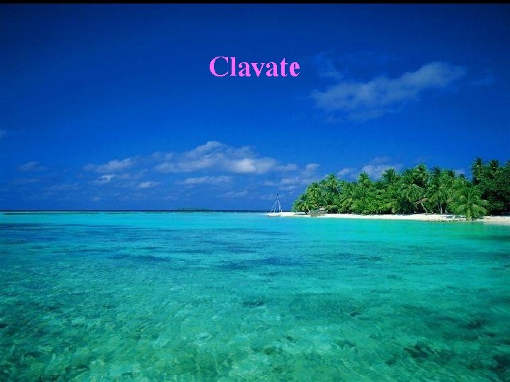 Clavate 