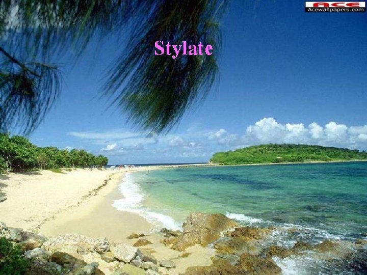 Stylate 