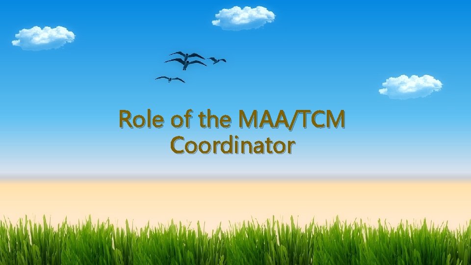Role of the MAA/TCM Coordinator 
