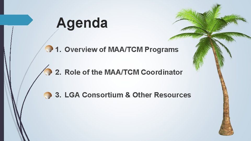 Agenda 1. Overview of MAA/TCM Programs 2. Role of the MAA/TCM Coordinator 3. LGA