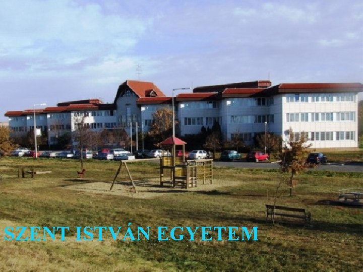 SZENT ISTVÁN EGYETEM 