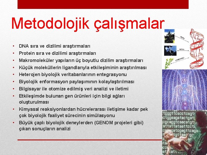 Metodolojik çalışmalar • DNA sıra ve dizilimi araştırmaları • Protein sıra ve dizilimi araştırmaları