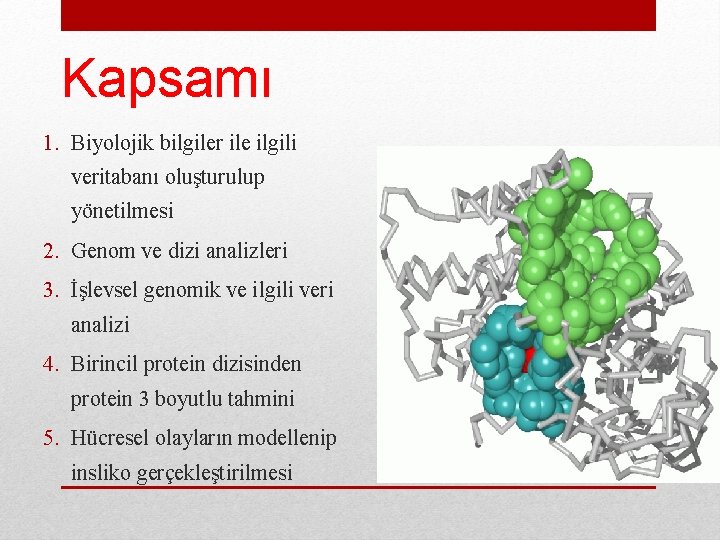 Kapsamı 1. Biyolojik bilgiler ile ilgili veritabanı oluşturulup yönetilmesi 2. Genom ve dizi analizleri