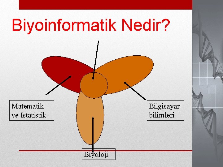 Biyoinformatik Nedir? Matematik ve İstatistik Bilgisayar bilimleri Biyoloji 