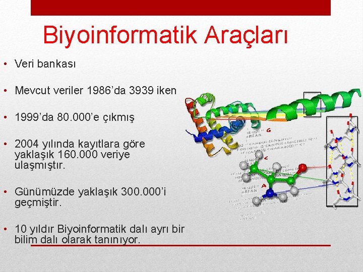 Biyoinformatik Araçları • Veri bankası • Mevcut veriler 1986’da 3939 iken • 1999’da 80.