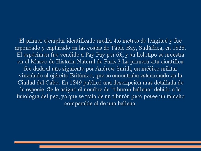 El primer ejemplar identificado medía 4, 6 metros de longitud y fue arponeado y