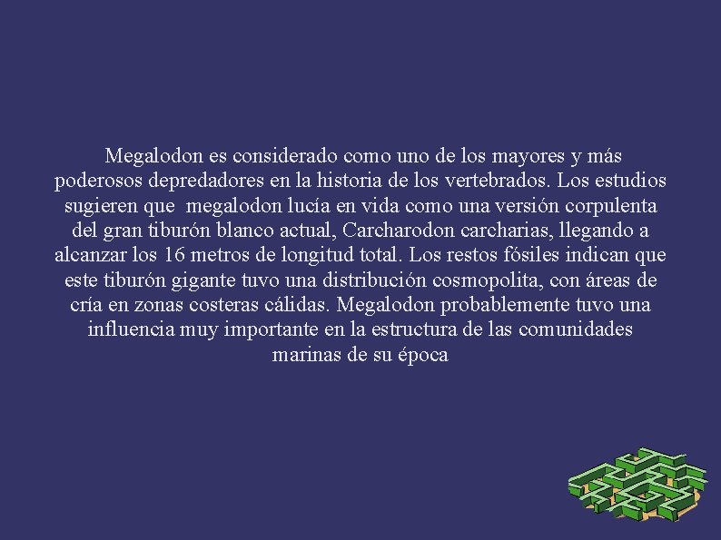 Megalodon es considerado como uno de los mayores y más poderosos depredadores en la